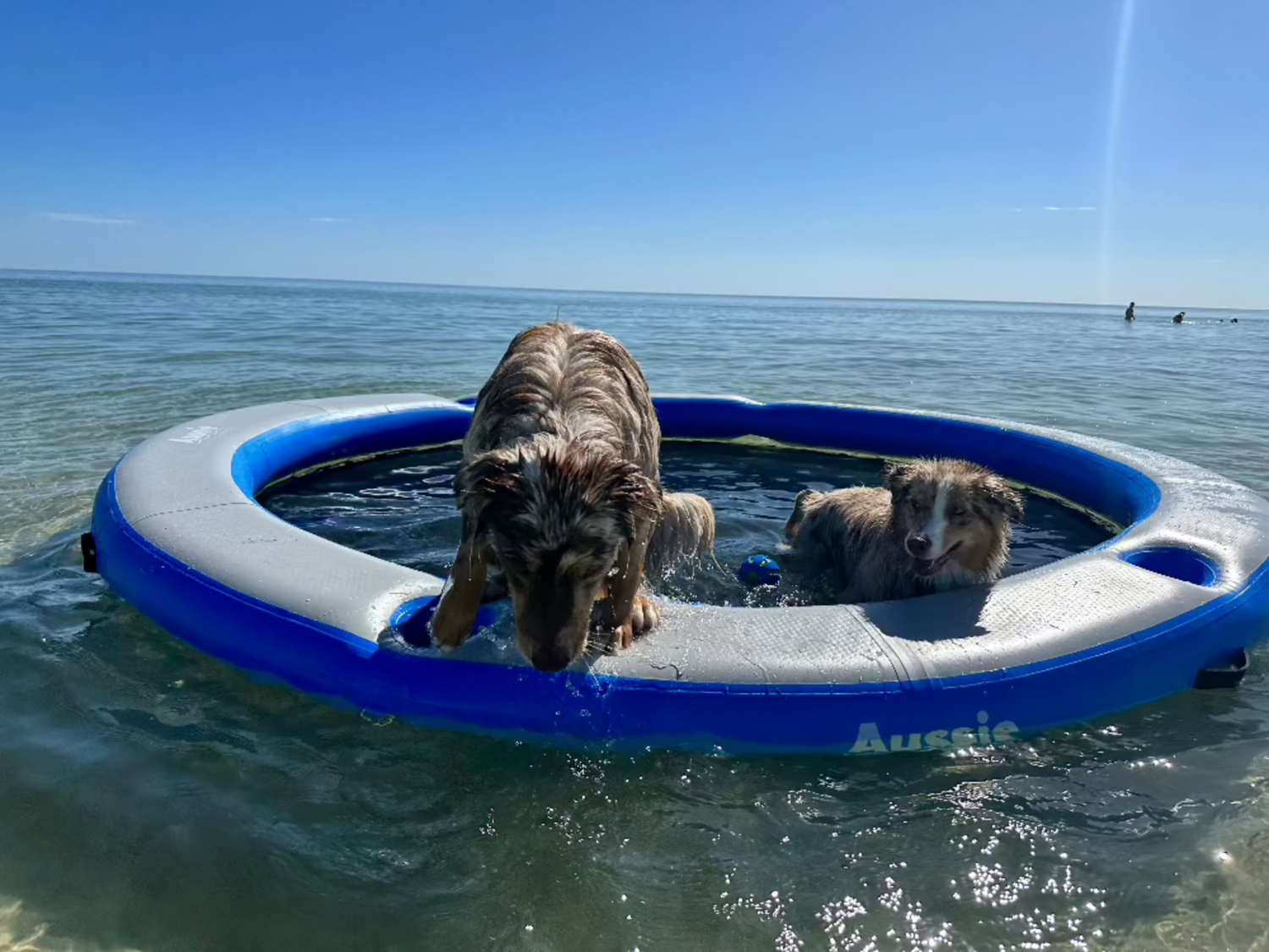 Aussie Floats Lily Pad water hammock floating mat